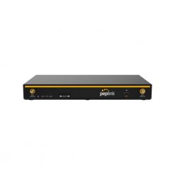 Peplink B One Plus (4)