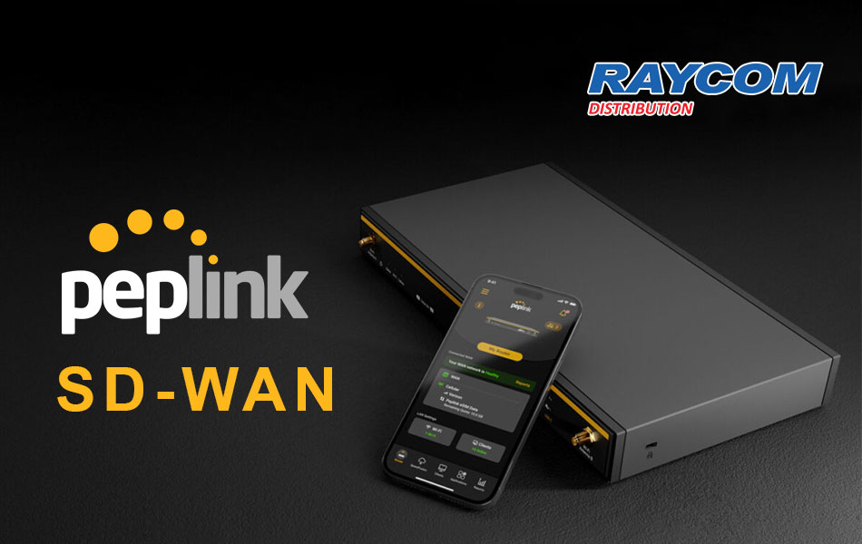 Giải pháp SD-WAN toàn diện từ Peplink (3)