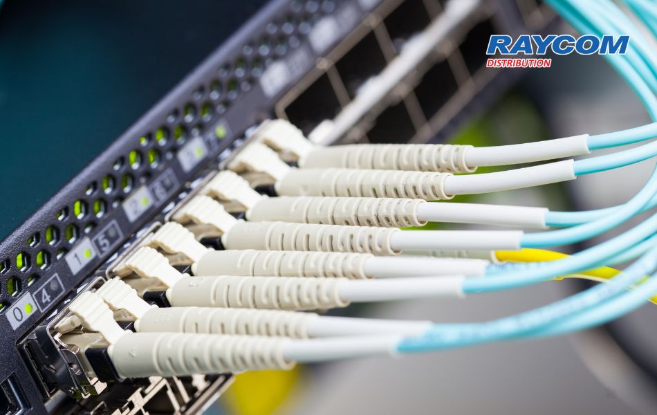 SFP là gì - Phân biệt SFP+, QSFP và cách chọn module quang cho doanh nghiệp (1)