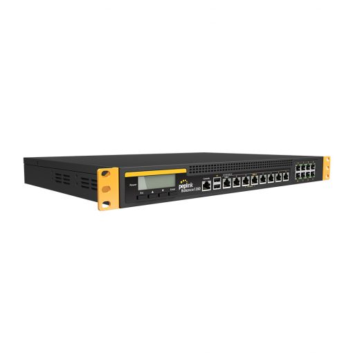 Peplink Balance 1350 (4)