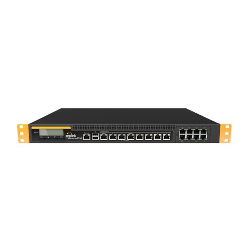 Peplink Balance 1350 (6)