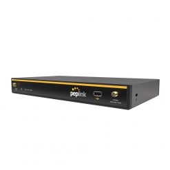Peplink Balance 20X (6)